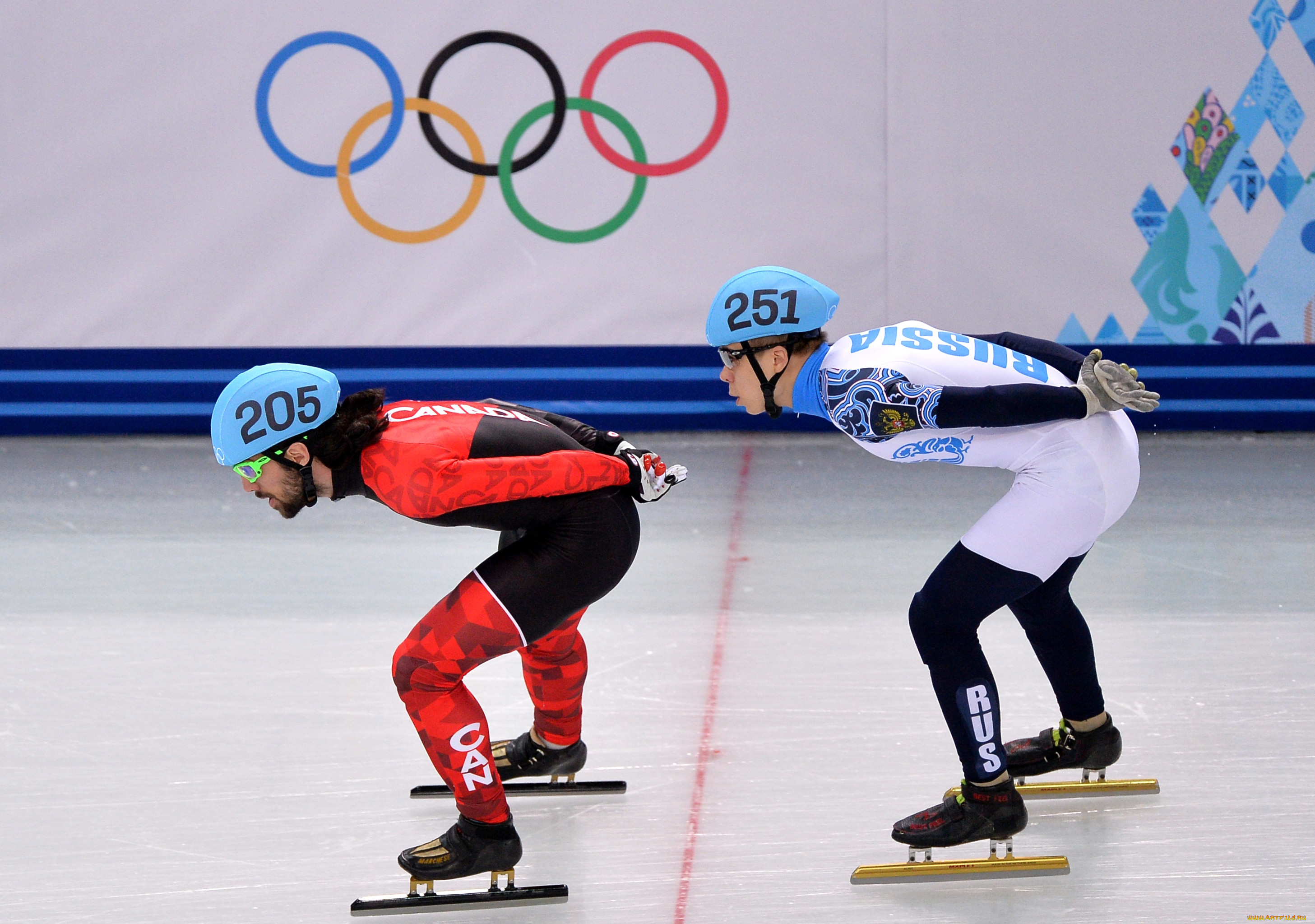 Как называется свод олимпийских. Шорт трек Сочи 2014. Олимпийские игры в Сочи 2014 конькобежный спорт. Конькобежный спорт Сочи Олимпийские игры.